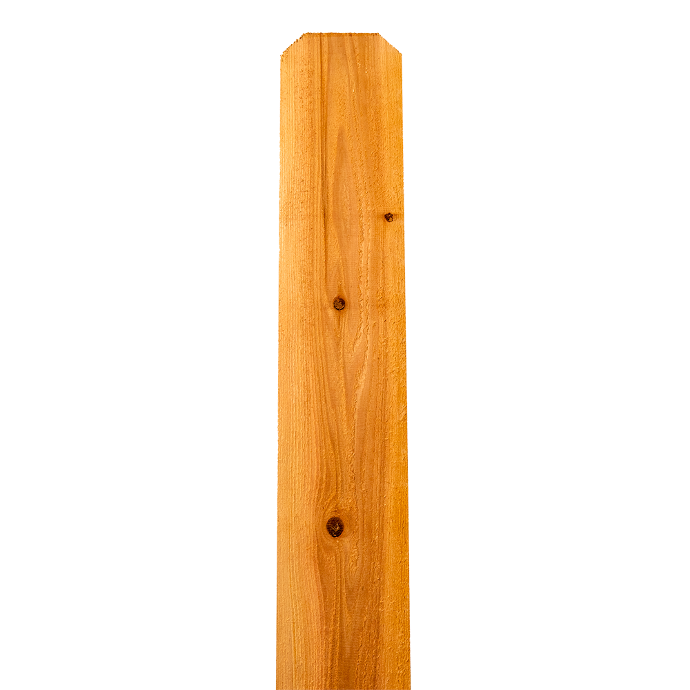 8 ft Cedar Fence Picket — Pacific Cedar Prime, 5½″ Dog-Ear